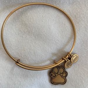 Alex and Ani Bracelet